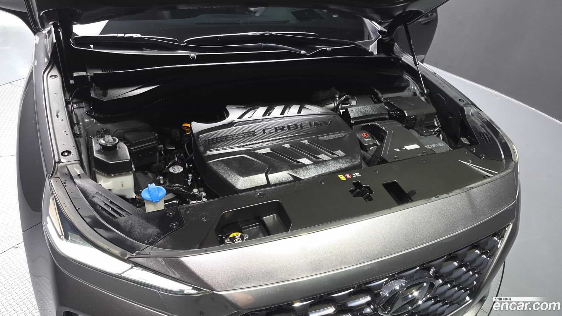 Santafe Hyundai 2018.11-OUTER-006