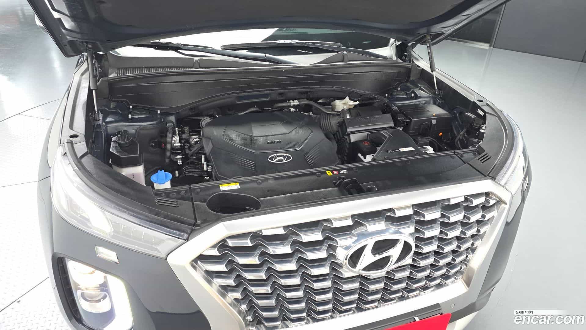 Palisade Hyundai 2019.4-OUTER-006