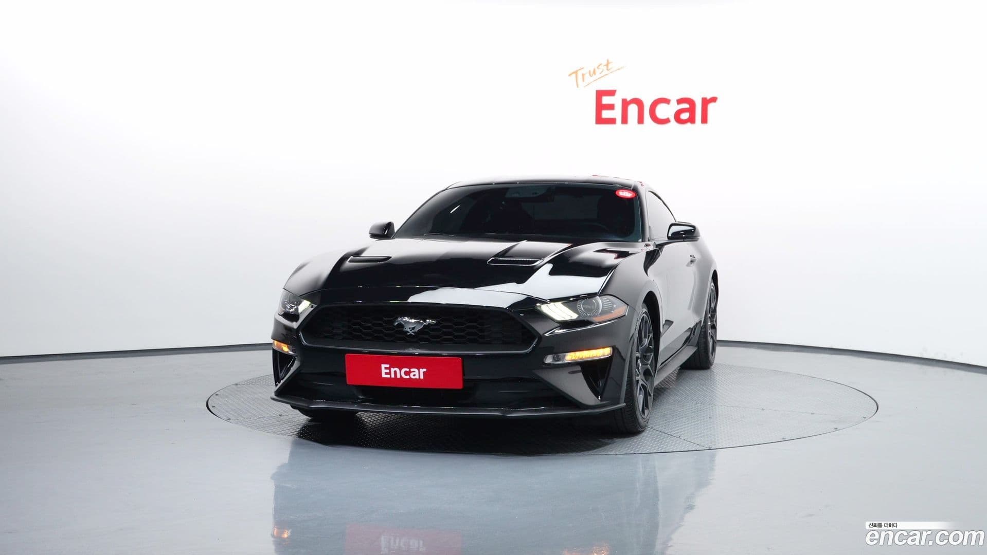 Main__Slider__Photo:Mustang Ford 2019.2-2
