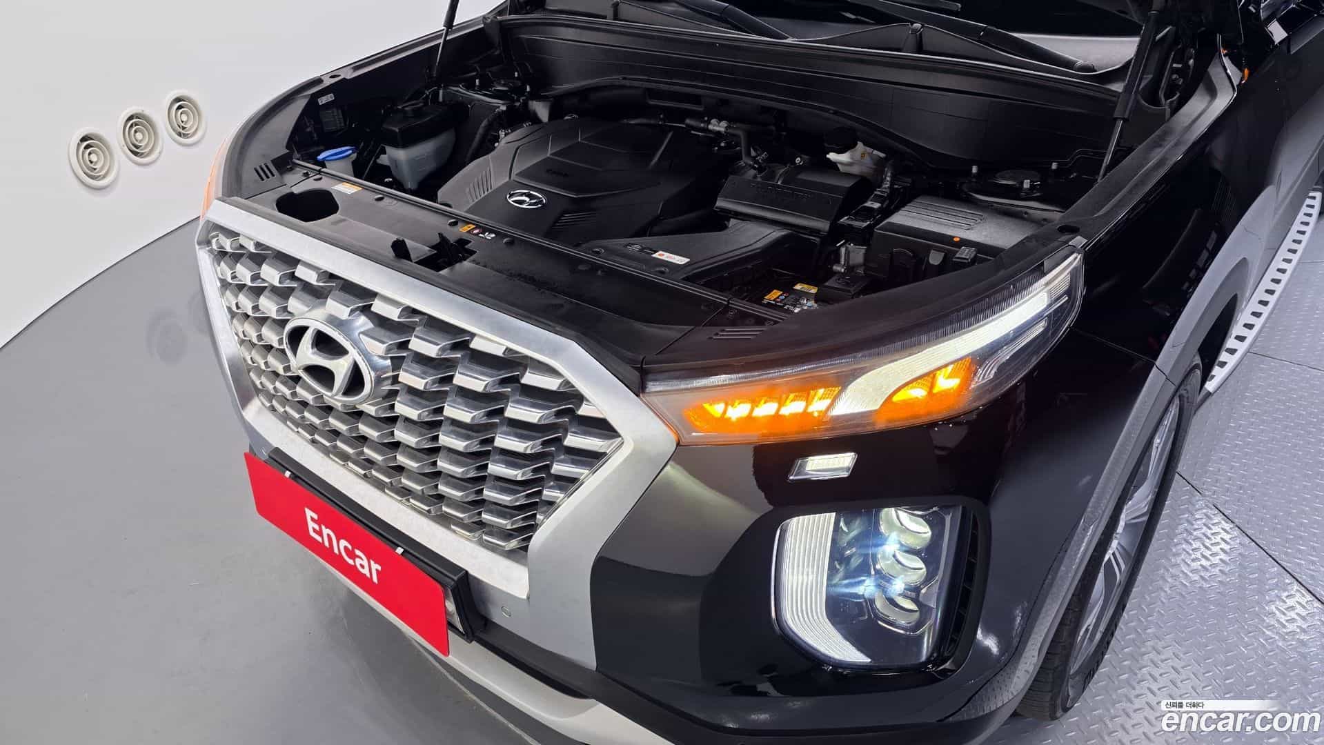 Palisade Hyundai 2018.11-OUTER-006
