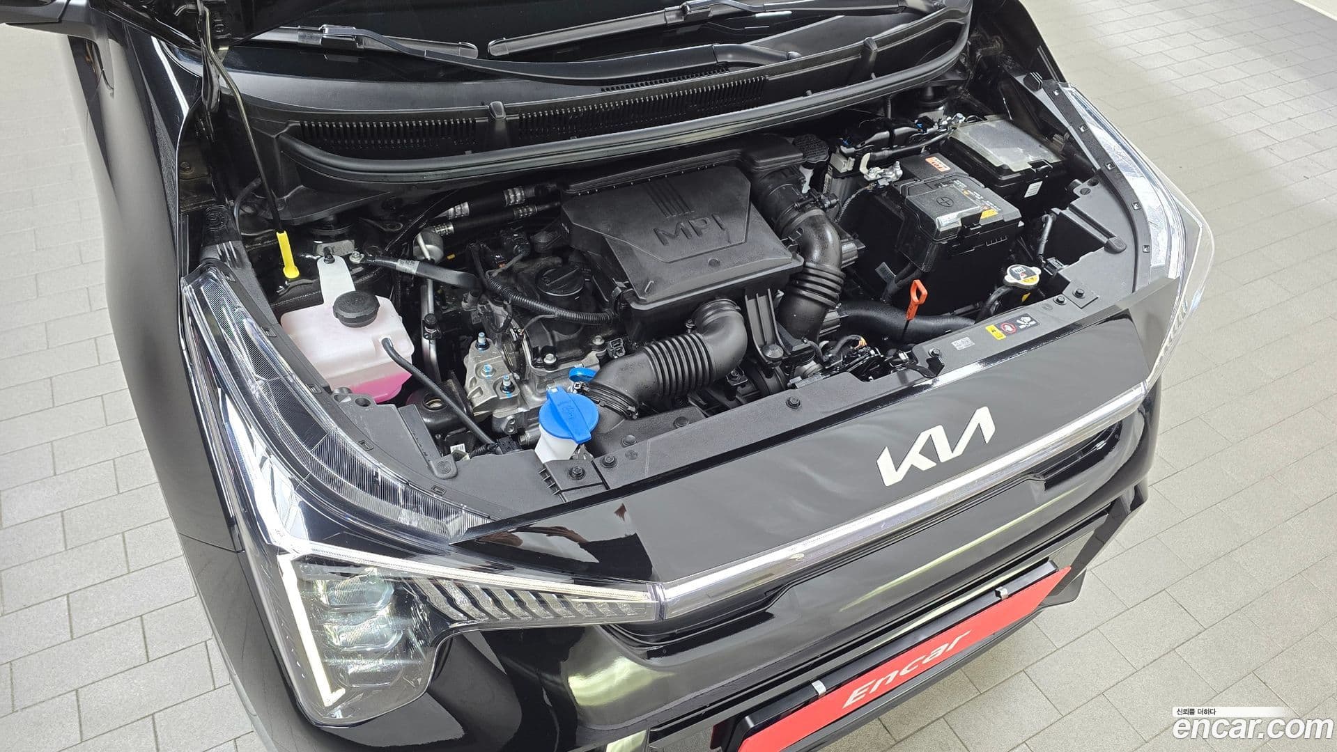 Main__Slider__Photo:morning Kia 2025.4-5