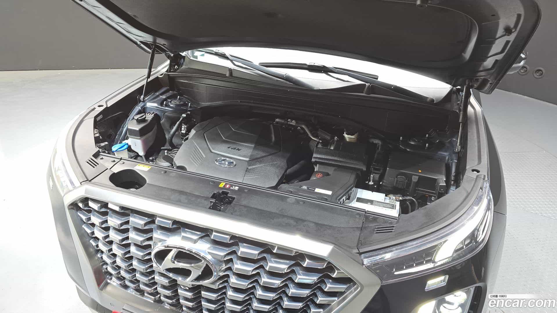Palisade Hyundai 2019.6-OUTER-006