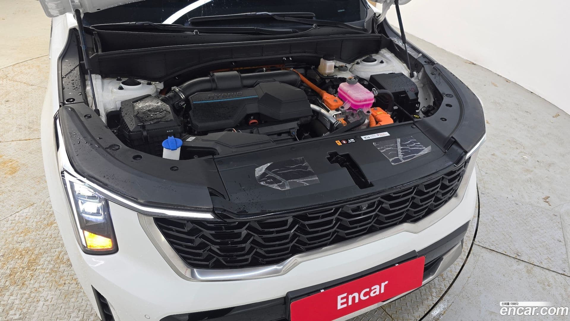 Main__Slider__Photo:Sorento Kia 2024.1-5