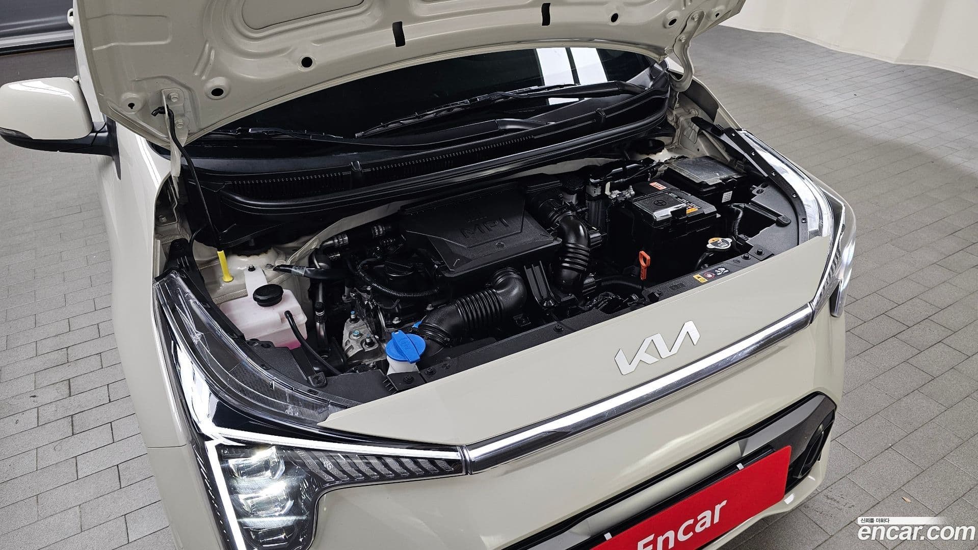 Main__Slider__Photo:morning Kia 2024.6-5