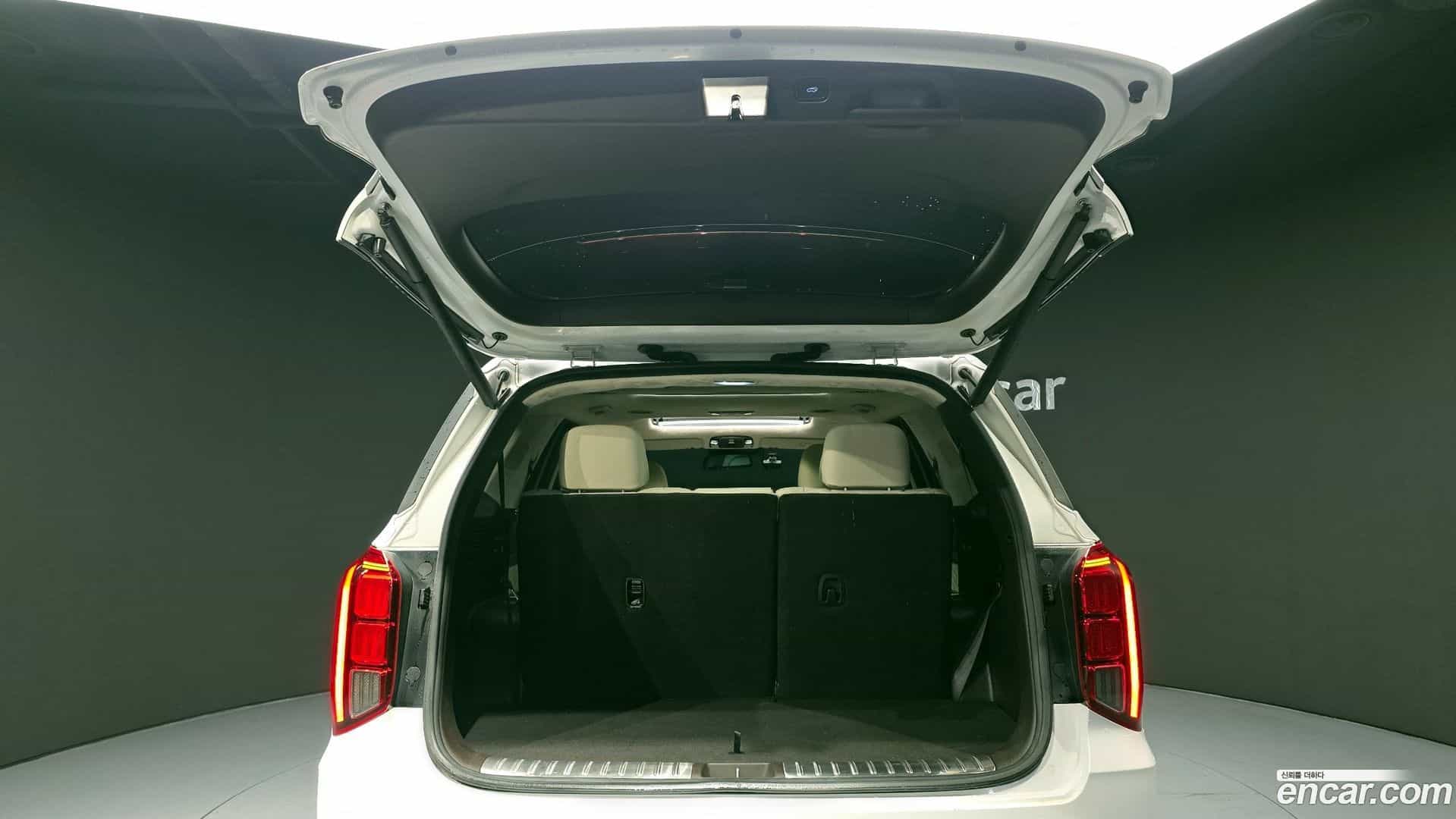 Palisade Hyundai 2021.8-OPTION-023