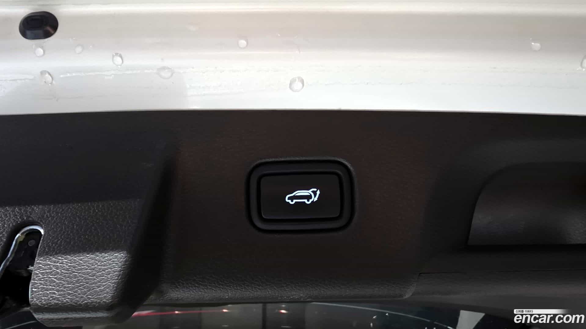 Palisade Hyundai 2021.8-OPTION-043