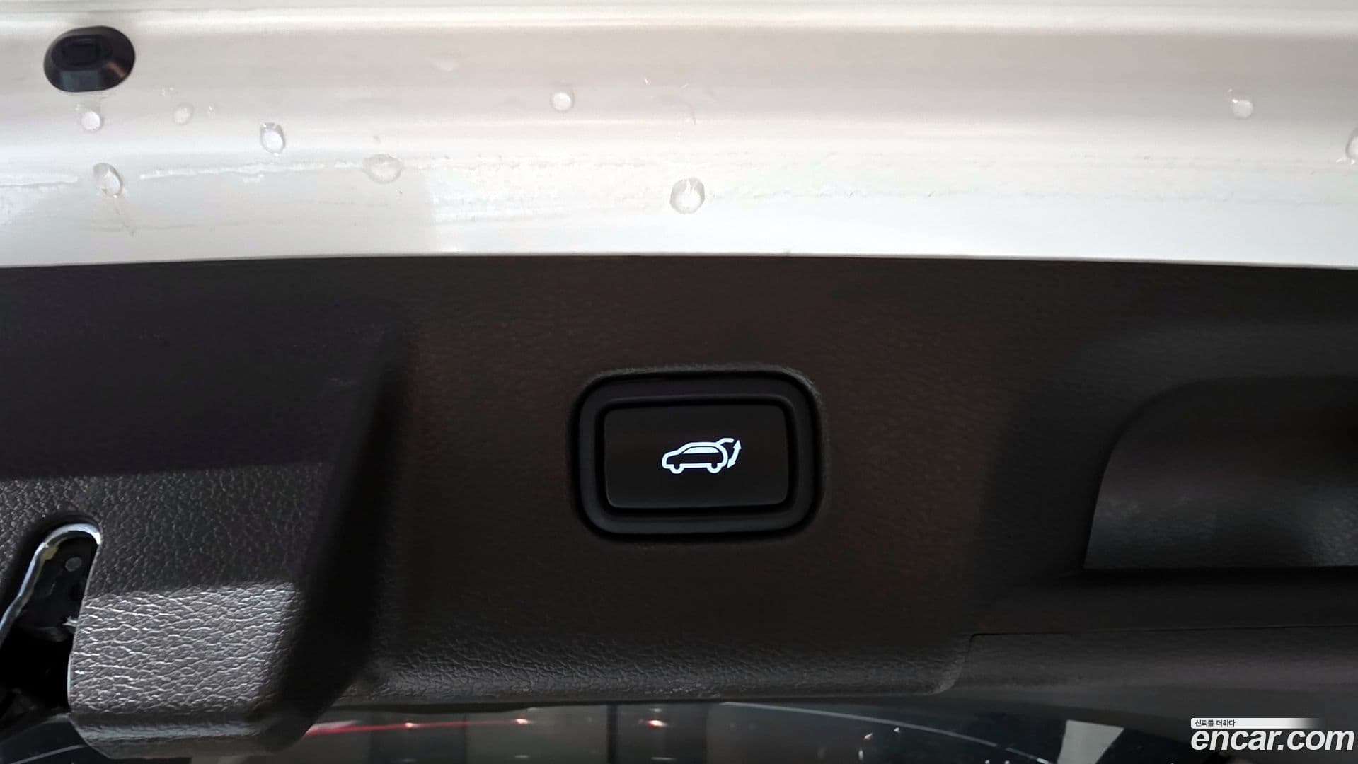 Main__Slider__Photo:Palisade Hyundai 2021.8-29