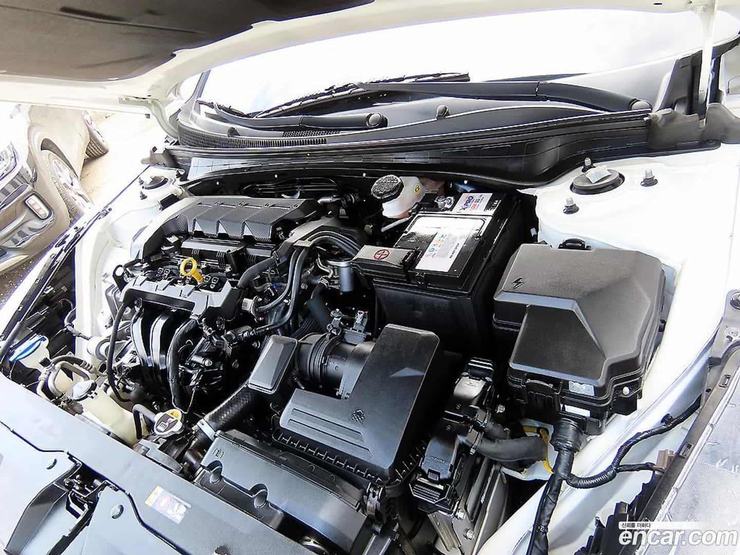 AVANTE Hyundai 2022.0-OPTION-021