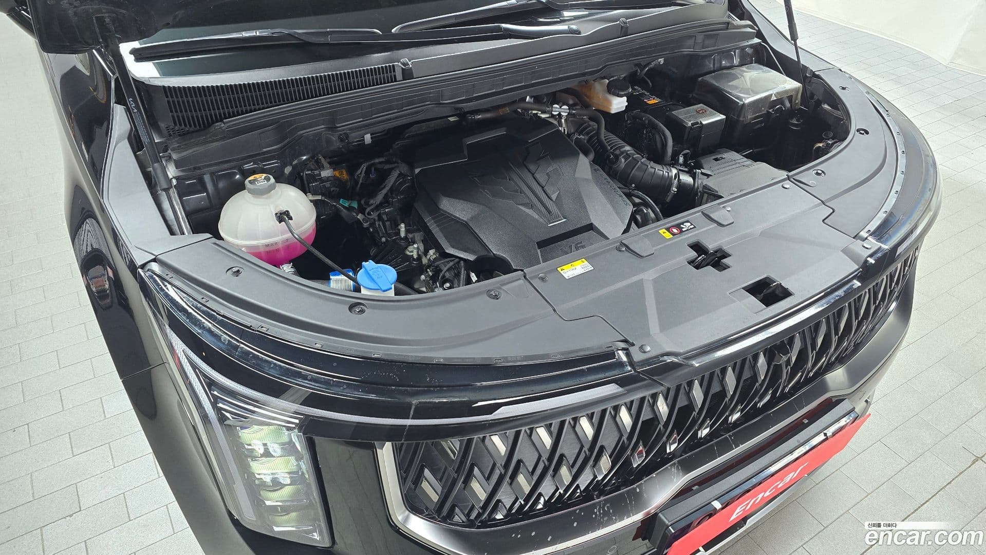 Main__Slider__Photo:Canival Kia 2024.11-5