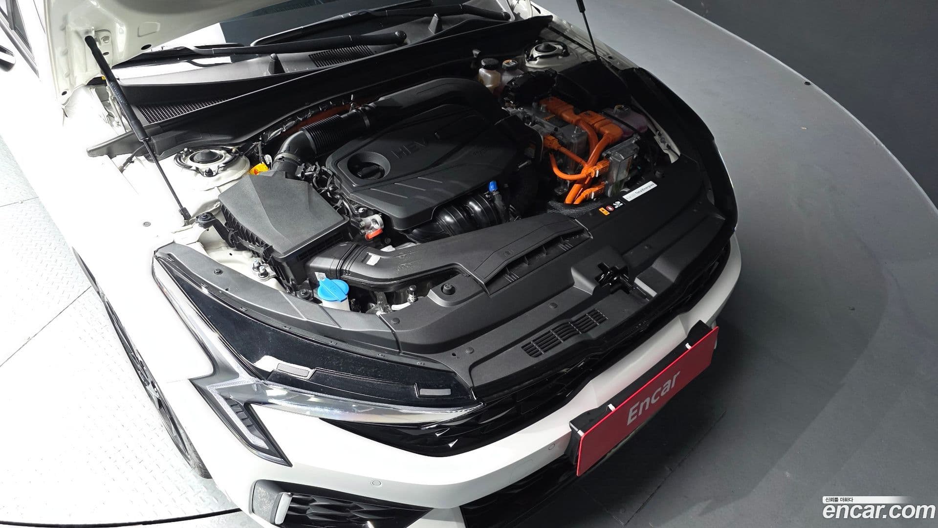 Main__Slider__Photo:K5 Kia 2025.8-5