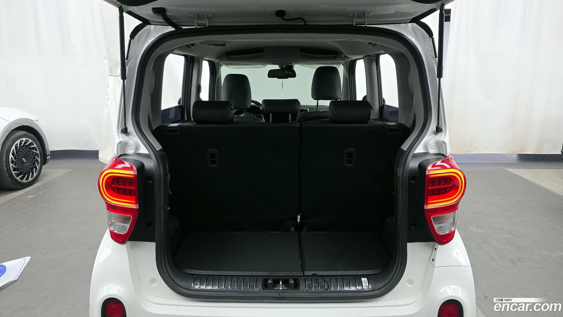 Main__Slider__Photo:RAY Kia 2022.6-19