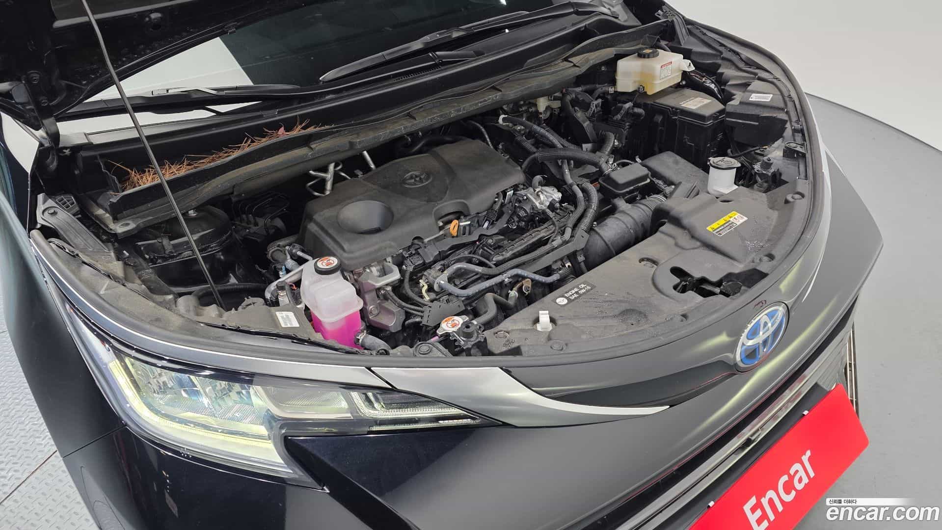 Sienna Toyota 2024.5-OUTER-006