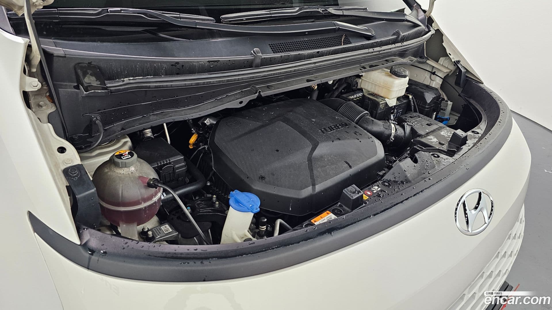 Main__Slider__Photo:Staria Hyundai 2022.9-5