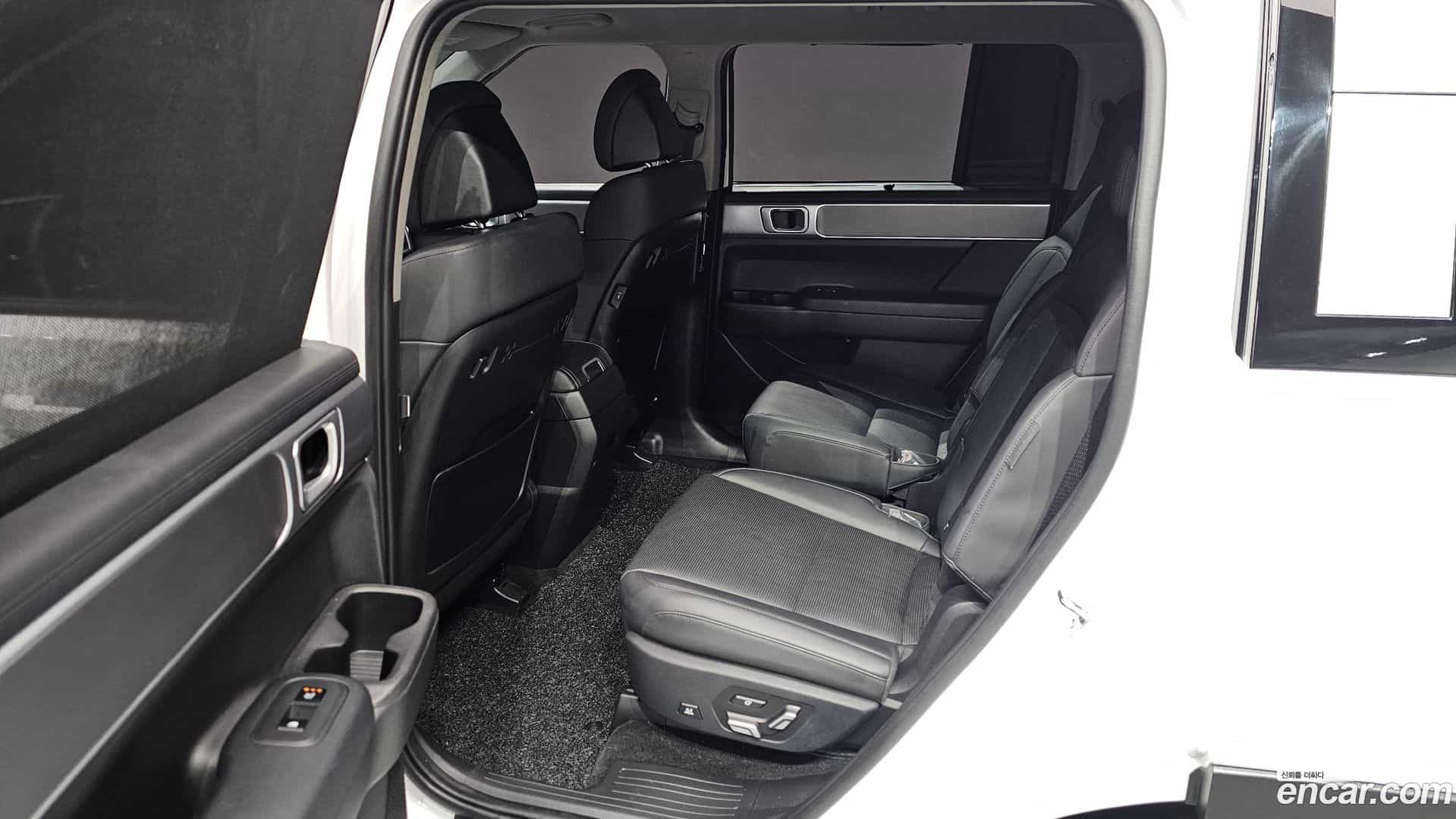 Santafe Hyundai 2024.1-OPTION-021