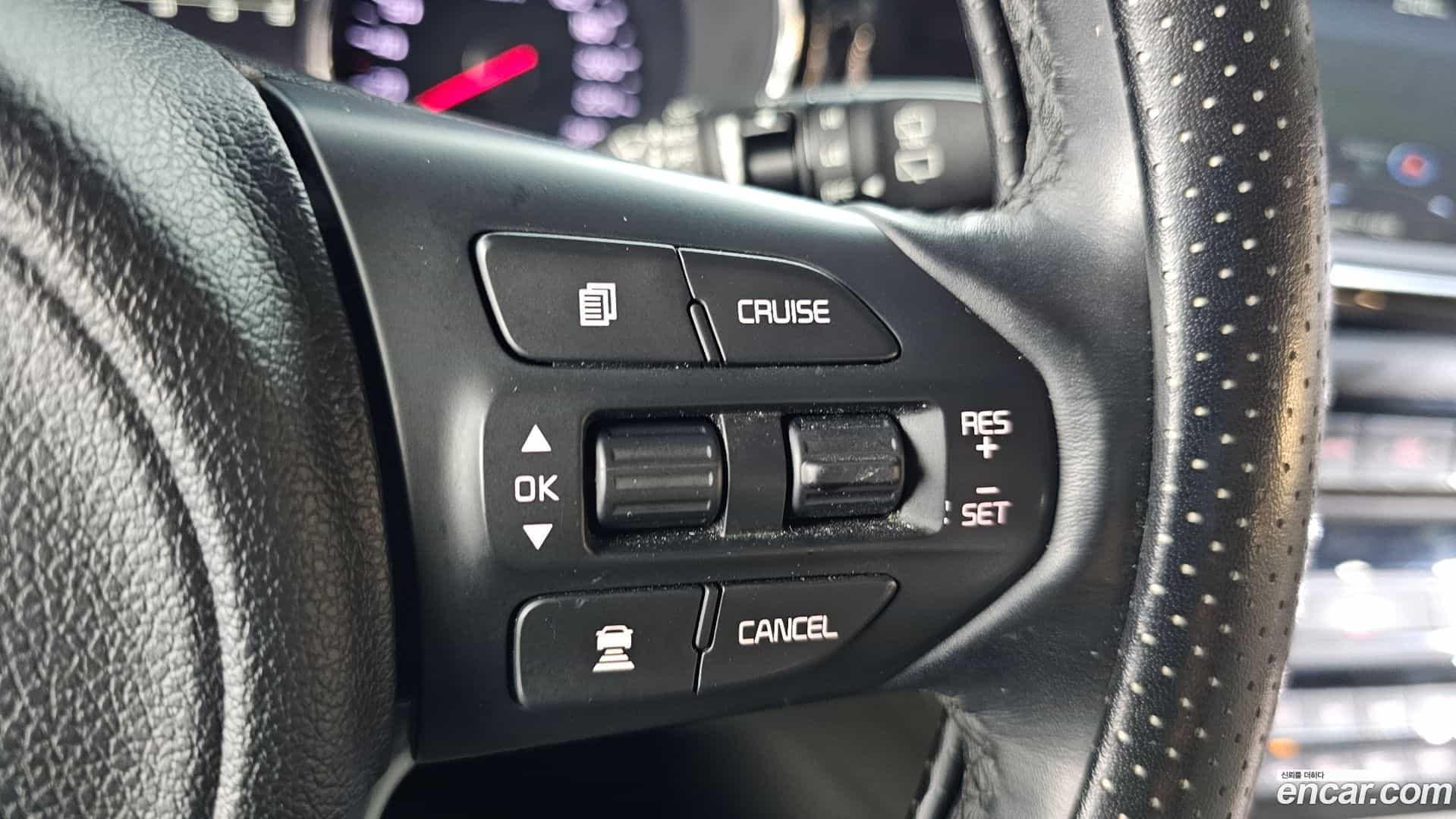 Canival Kia 2016.10-OPTION-040