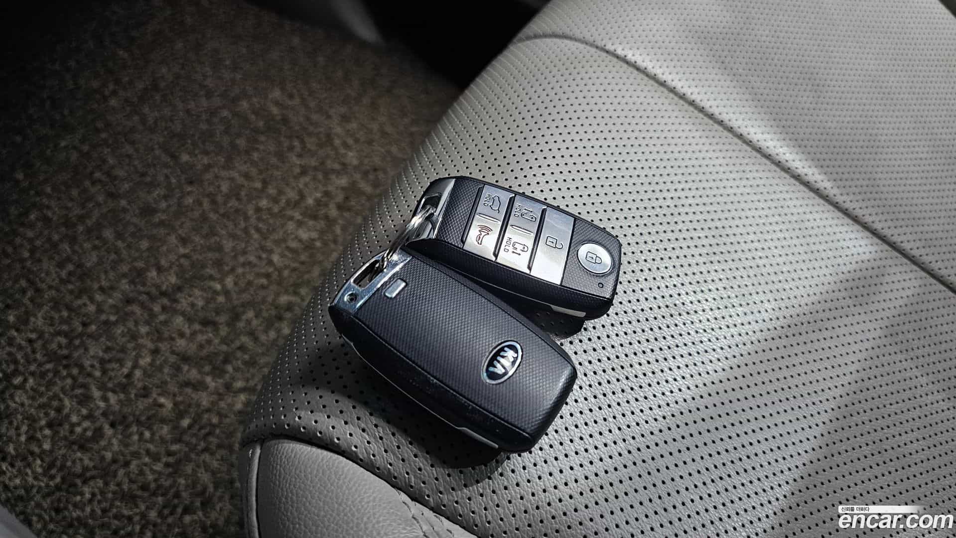 Canival Kia 2016.10-OPTION-041