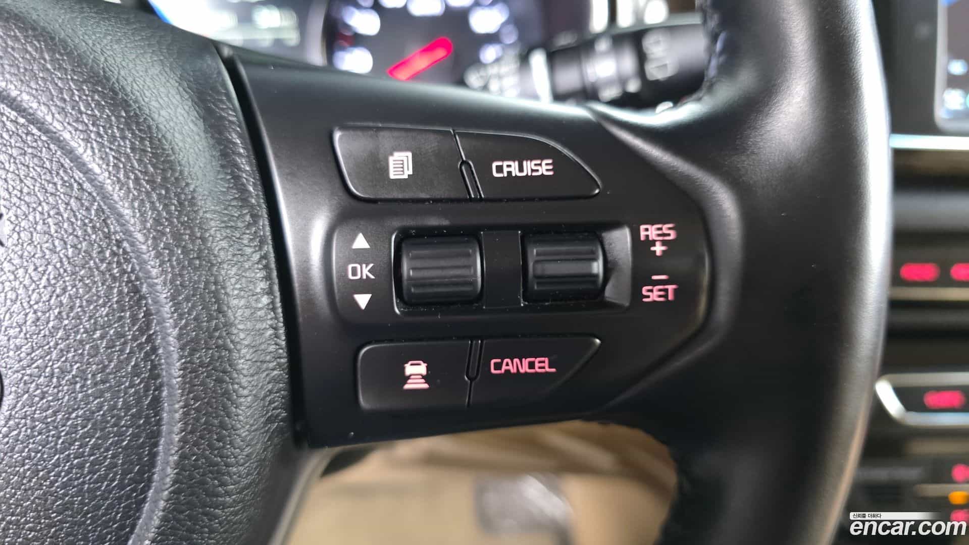 Canival Kia 2019.8-OPTION-042