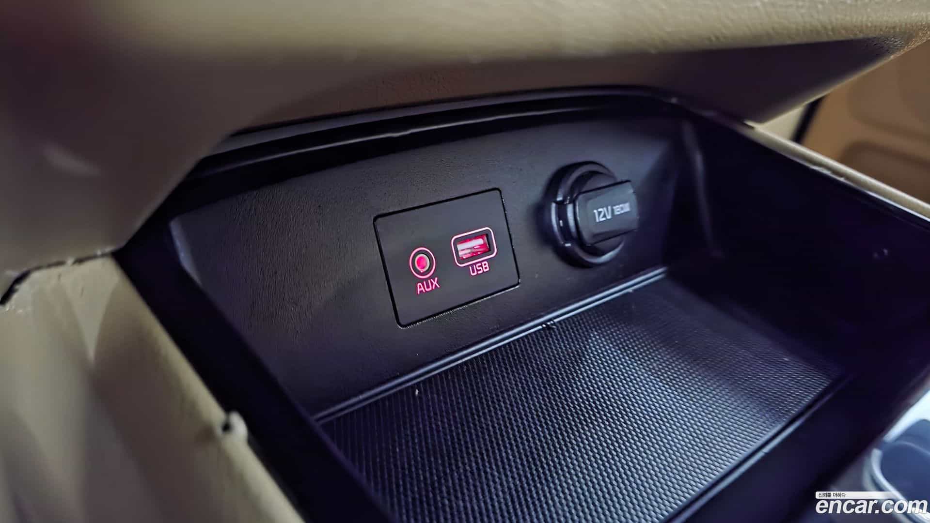 Canival Kia 2019.8-OPTION-046