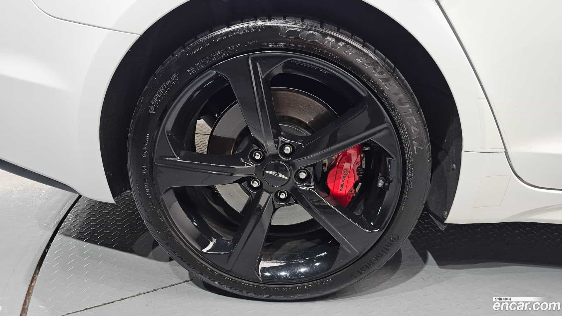 G70 Genesis 2019.7-OUTER-005
