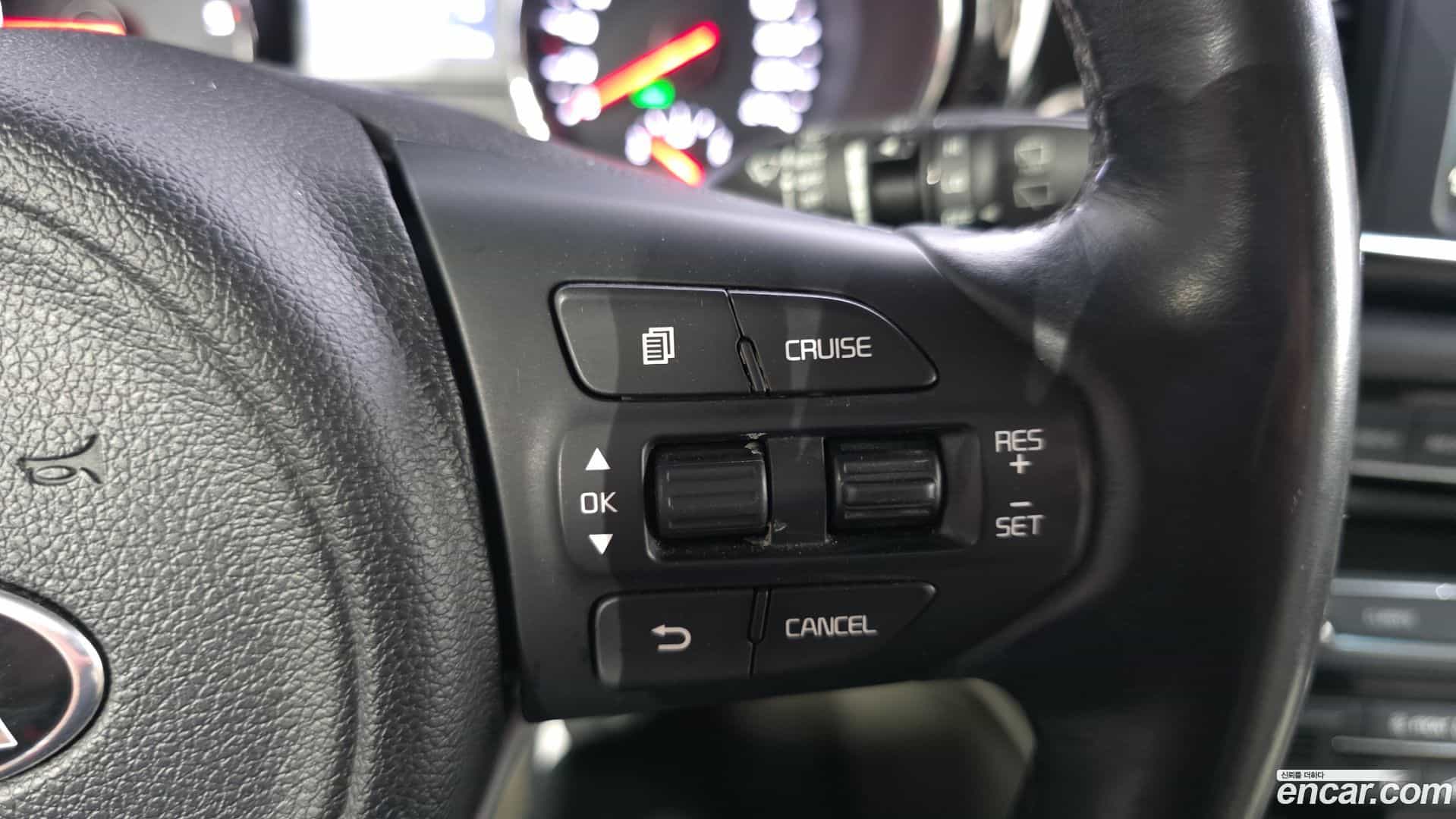 Canival Kia 2017.4-OPTION-022