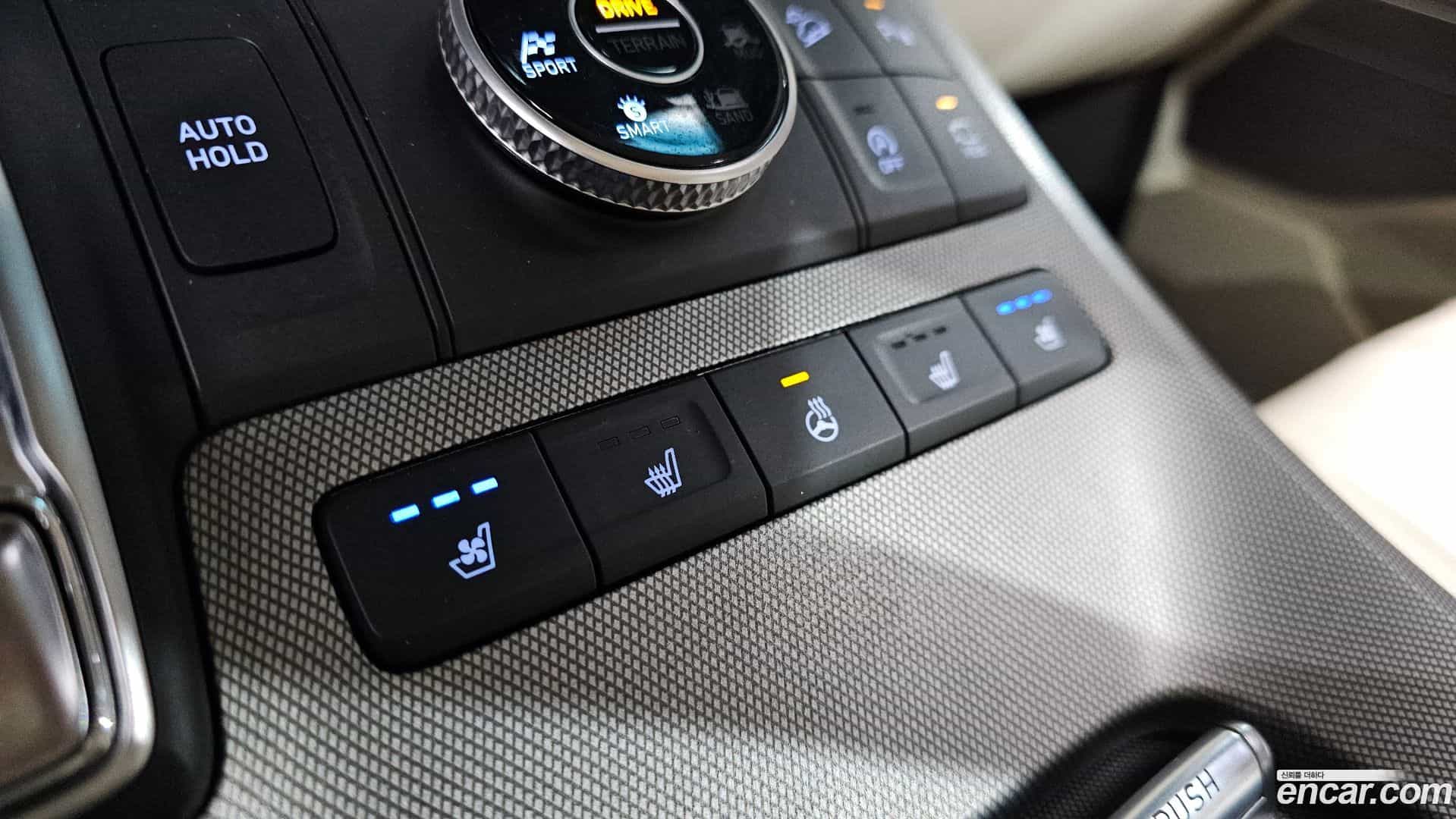 Palisade Hyundai 2022.4-OPTION-020