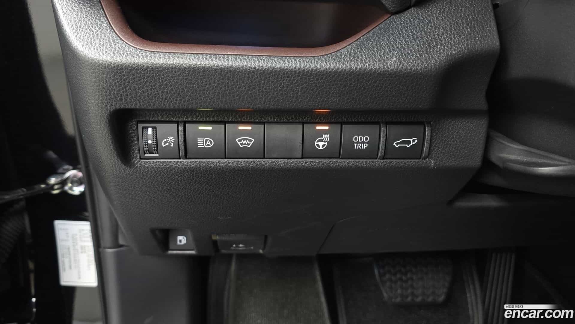 RAV4 Toyota 2023.3-OPTION-019
