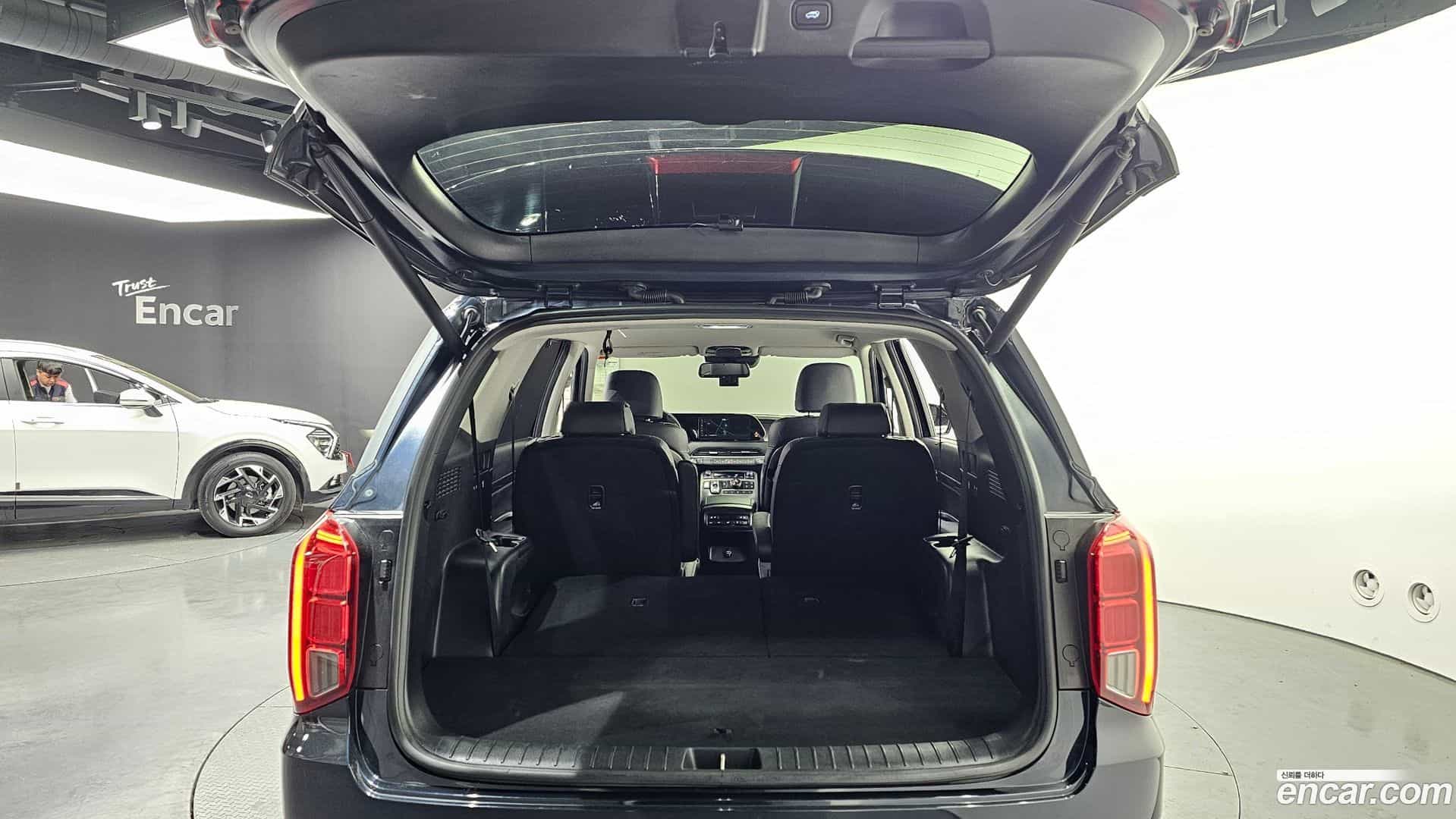 Palisade Hyundai 2020.3-OPTION-024