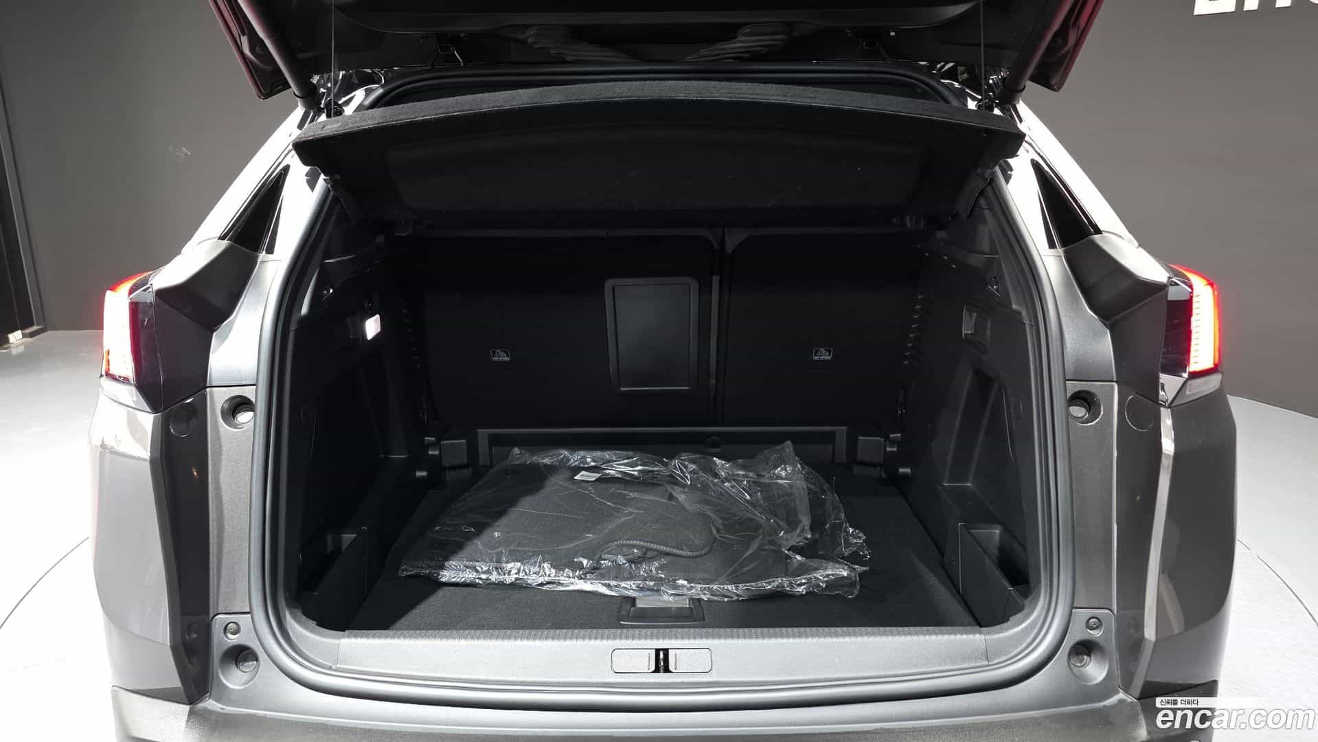 3008 Peugeot 2020.11-OPTION-045