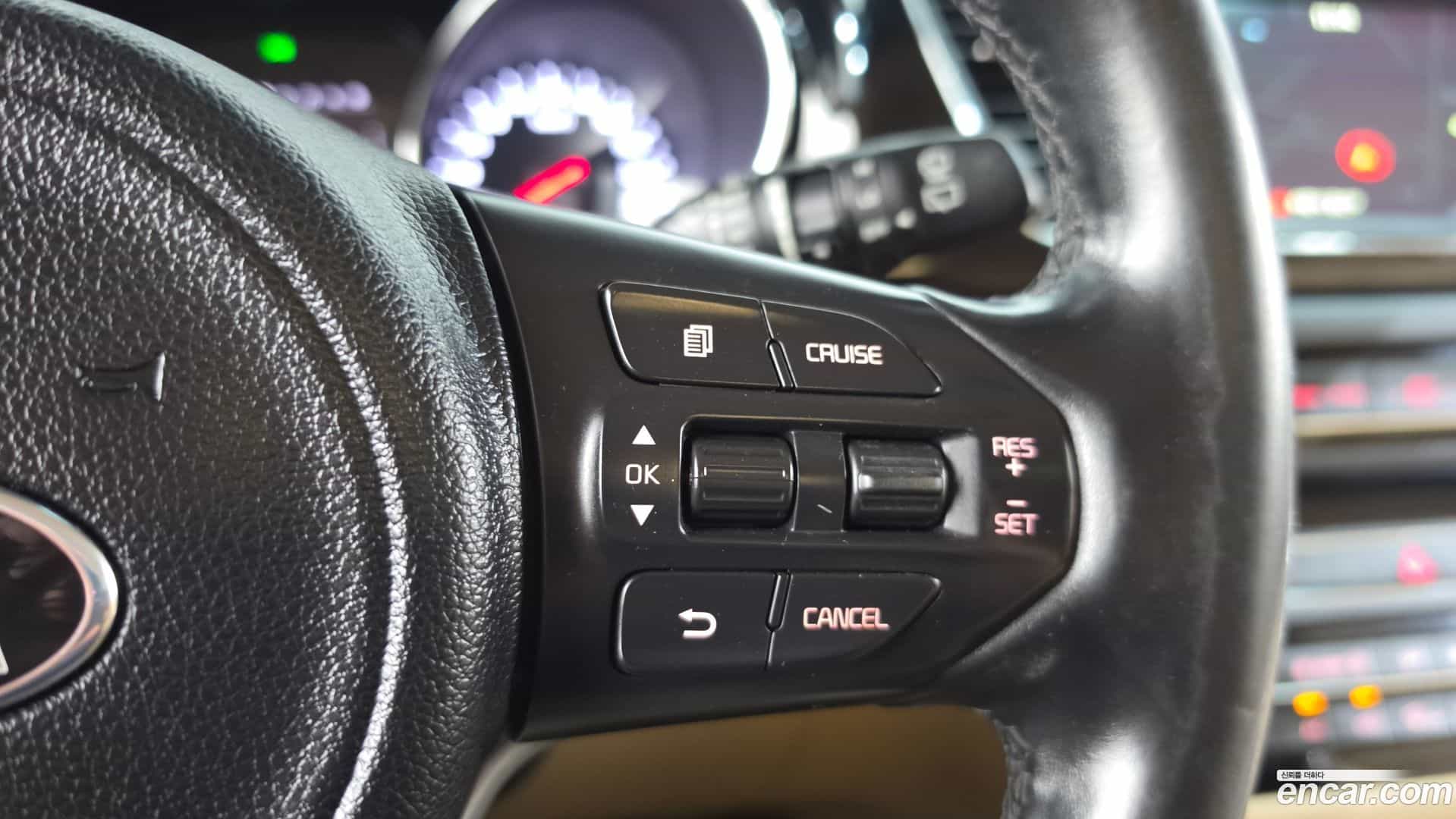 Canival Kia 2016.4-OPTION-019