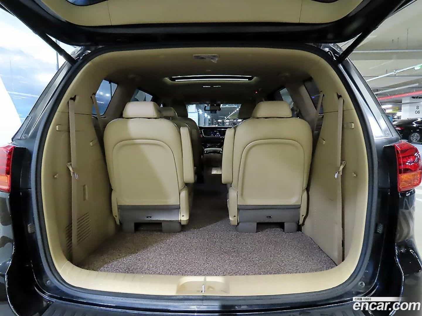 Canival Kia 2018.9-OPTION-020