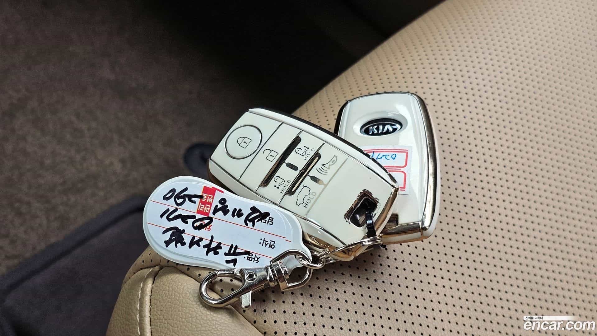 Canival Kia 2016.9-OPTION-042
