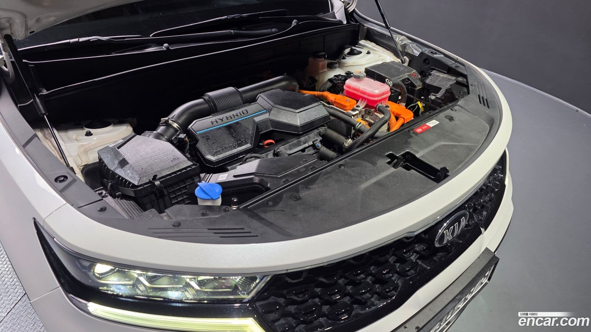 Main__Slider__Photo:Sorento Kia 2021.1-5