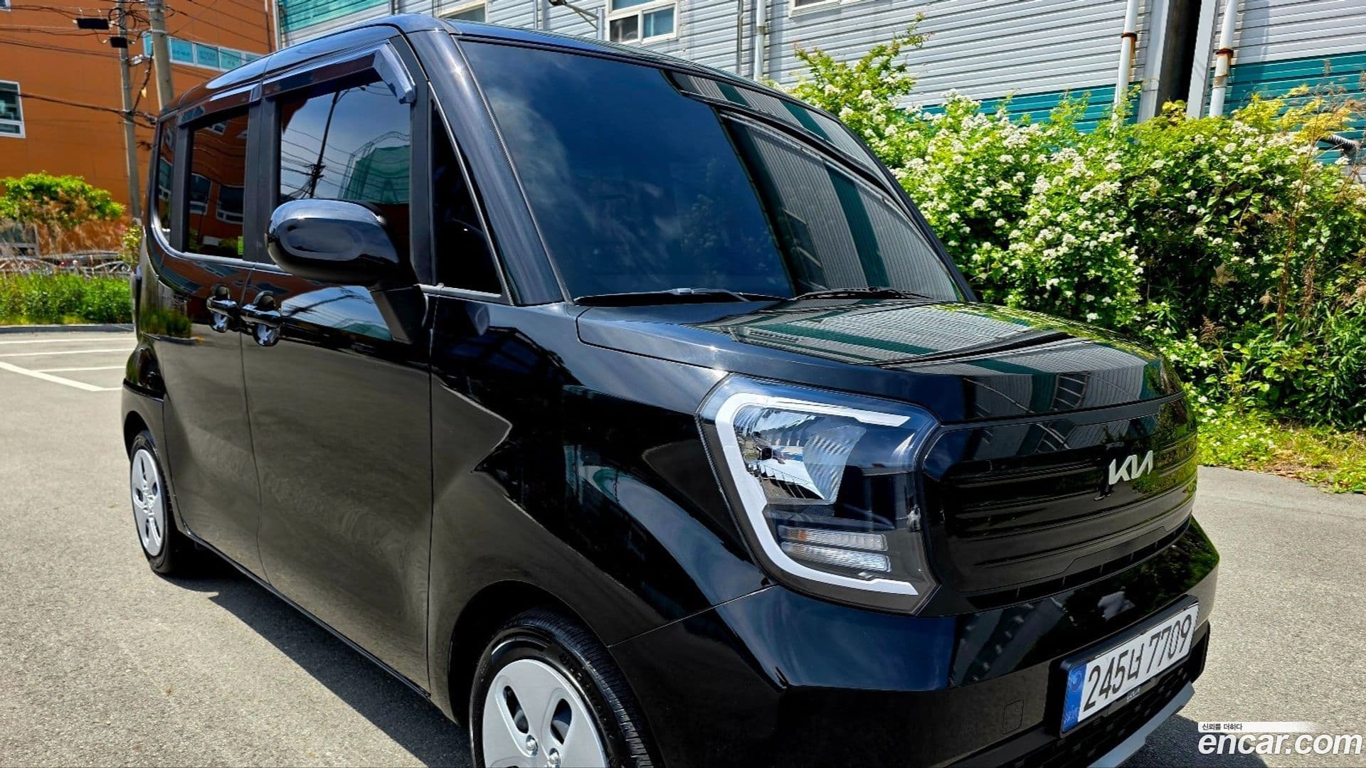 Main__Slider__Photo:RAY Kia 2024.6-0