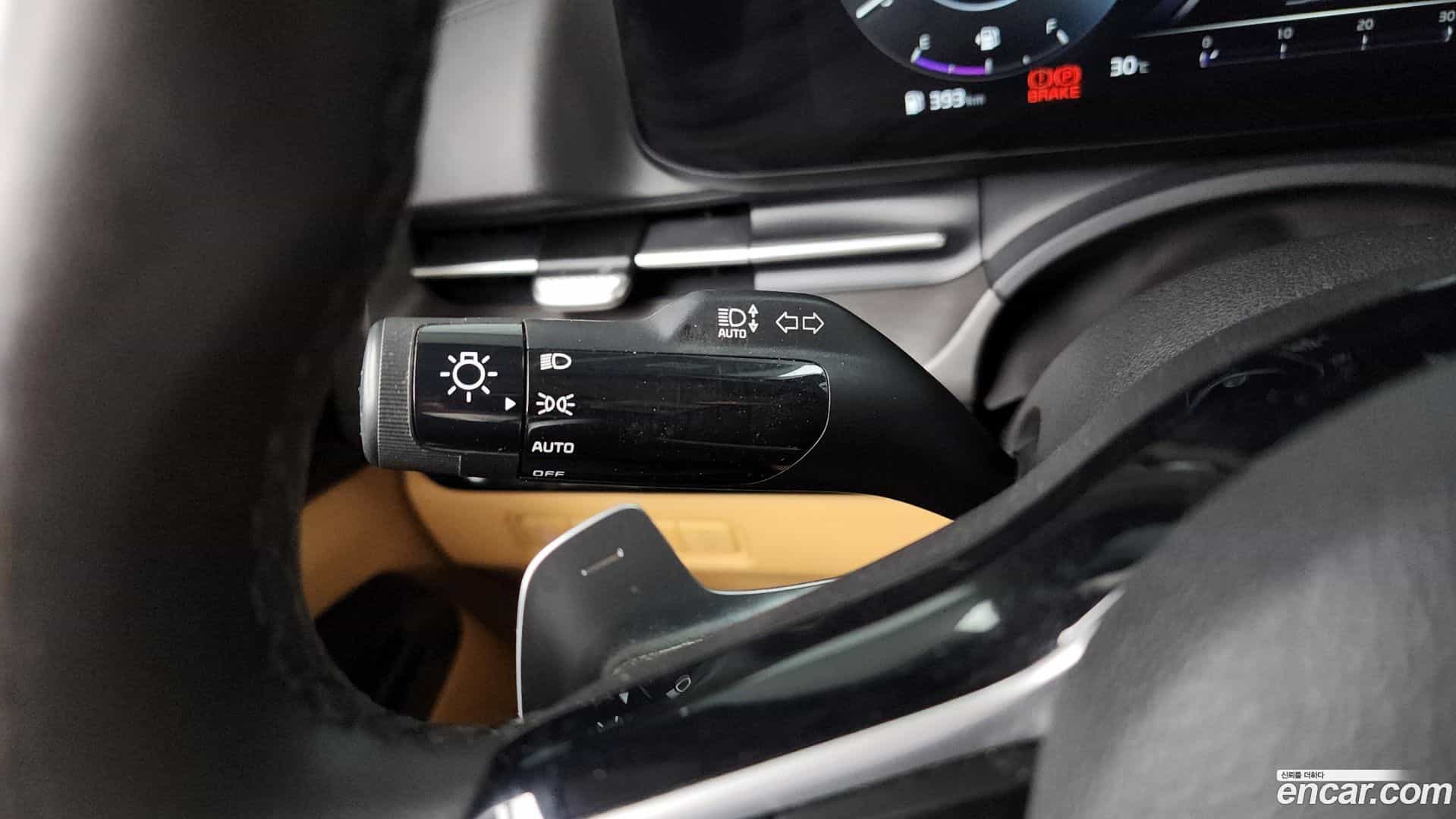 Canival Kia 2020.11-OPTION-022