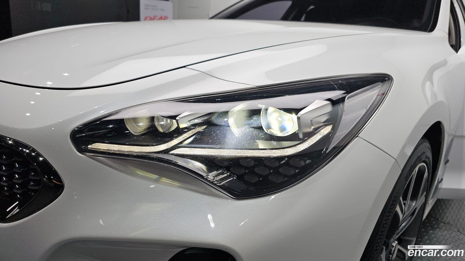 Main__Slider__Photo:Stinger Kia 2017.7-21