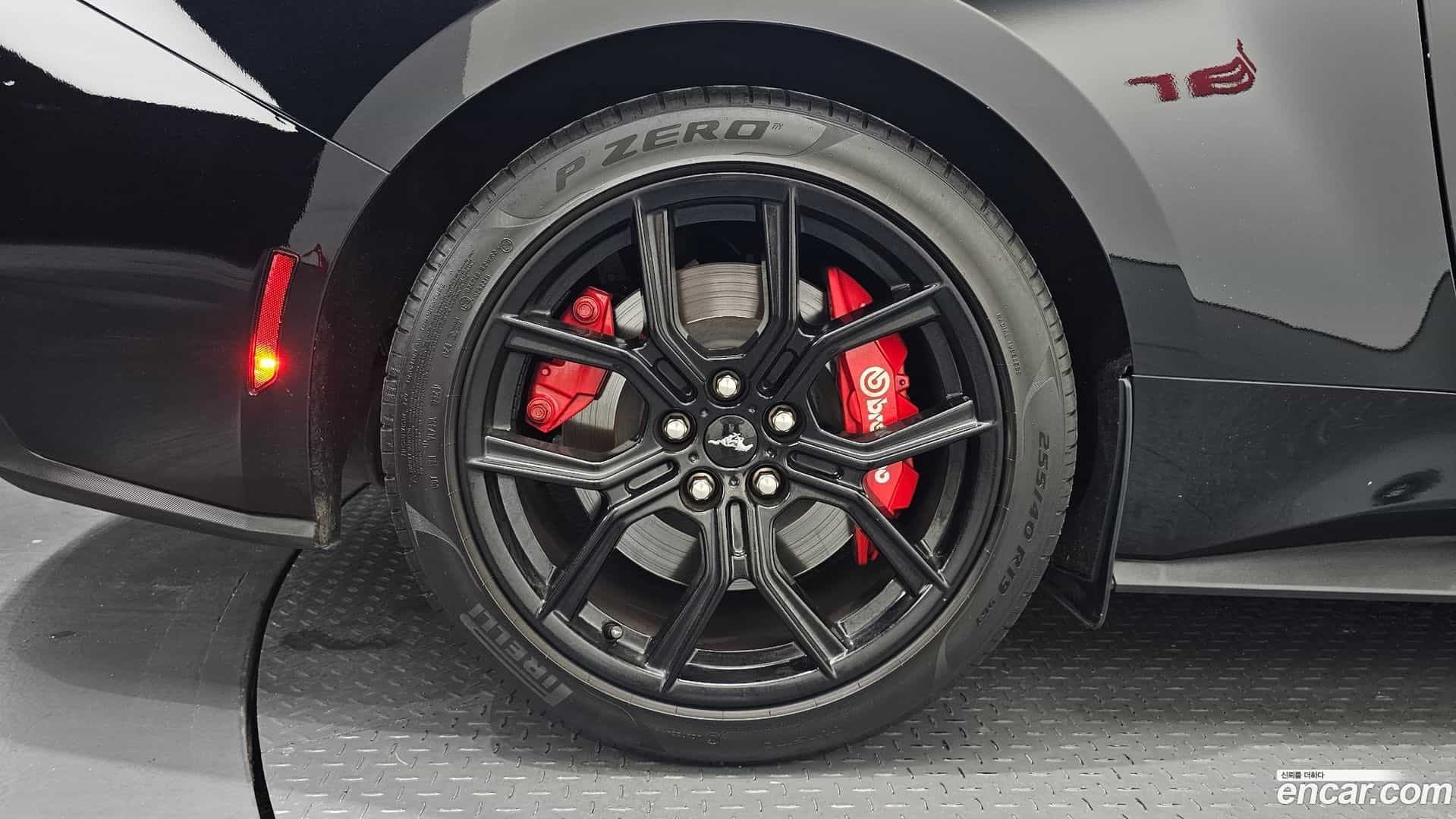 Mustang Ford 2024.7-OUTER-005