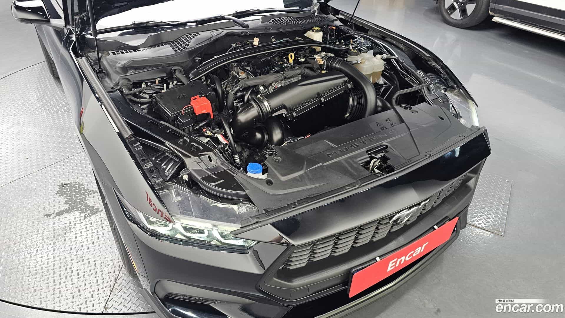 Mustang Ford 2024.7-OUTER-006