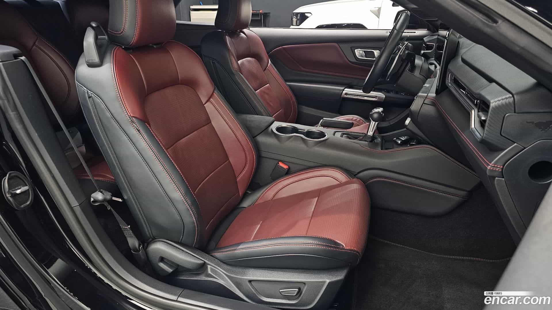 Mustang Ford 2024.7-OPTION-015