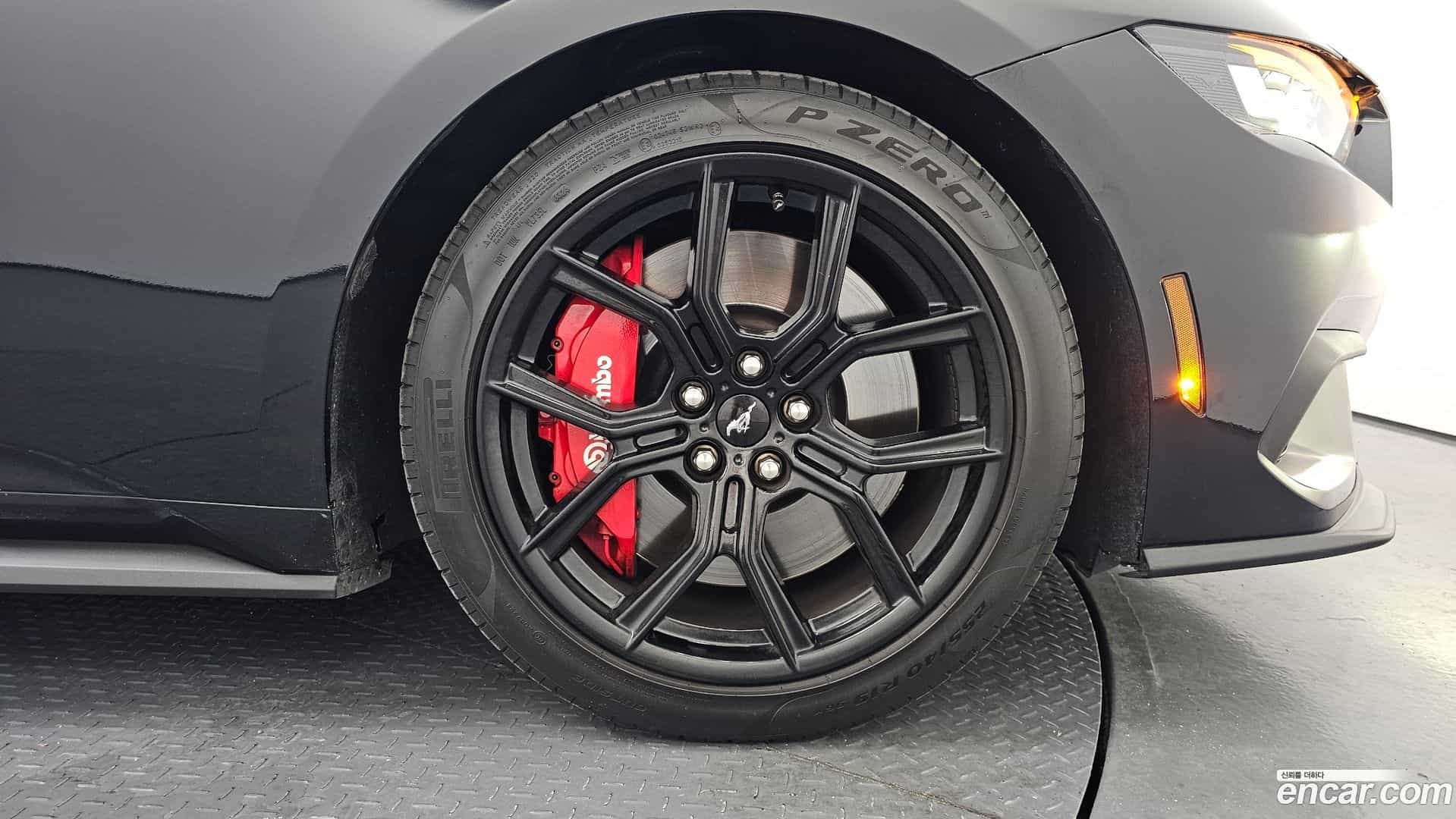 Mustang Ford 2024.7-OUTER-031