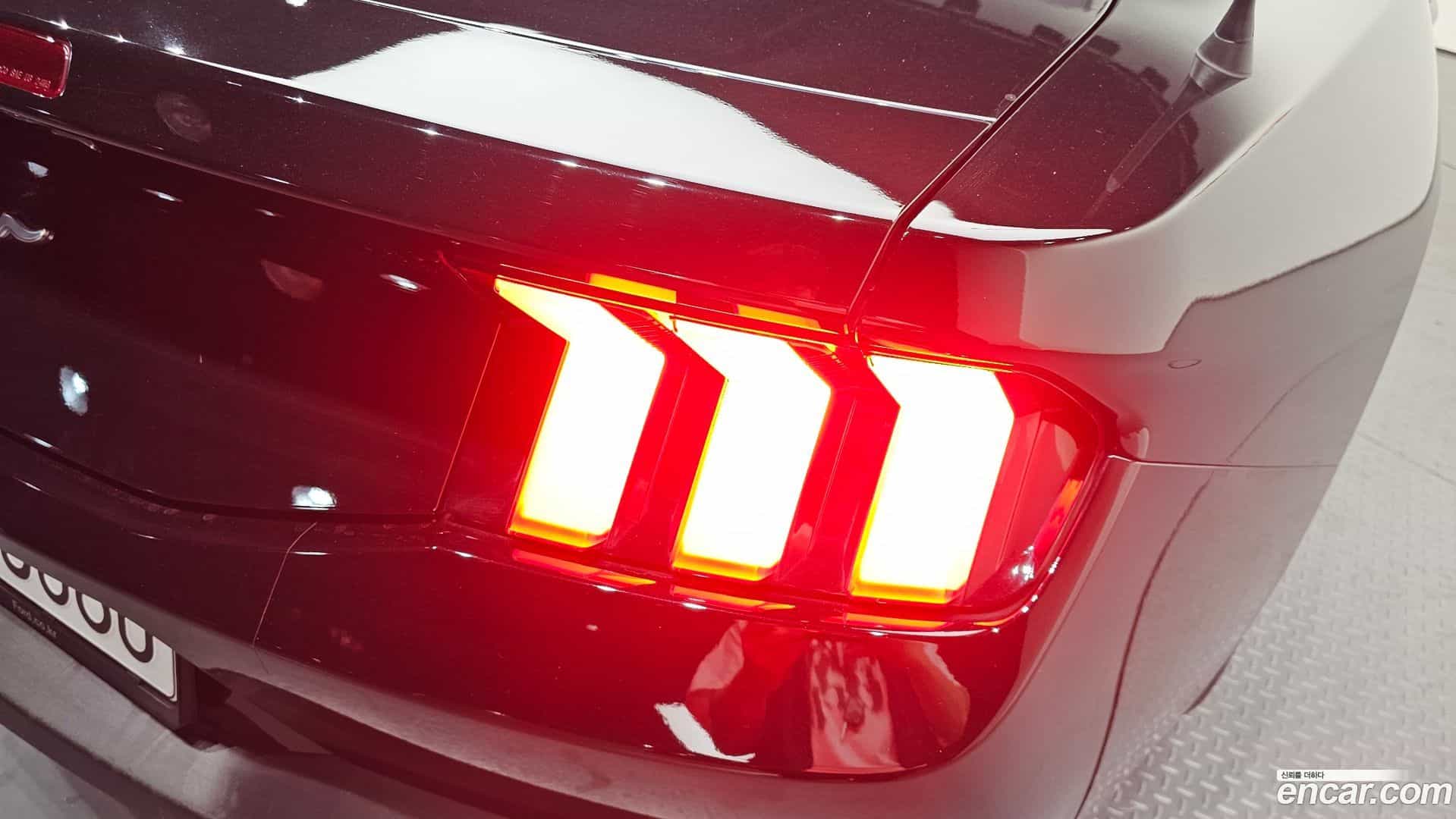 Mustang Ford 2024.7-OUTER-033
