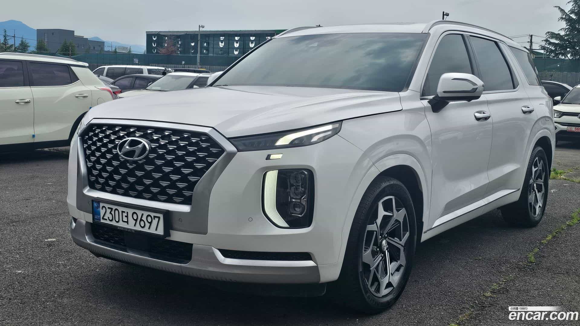 Palisade Hyundai 2020.6-OUTER-003