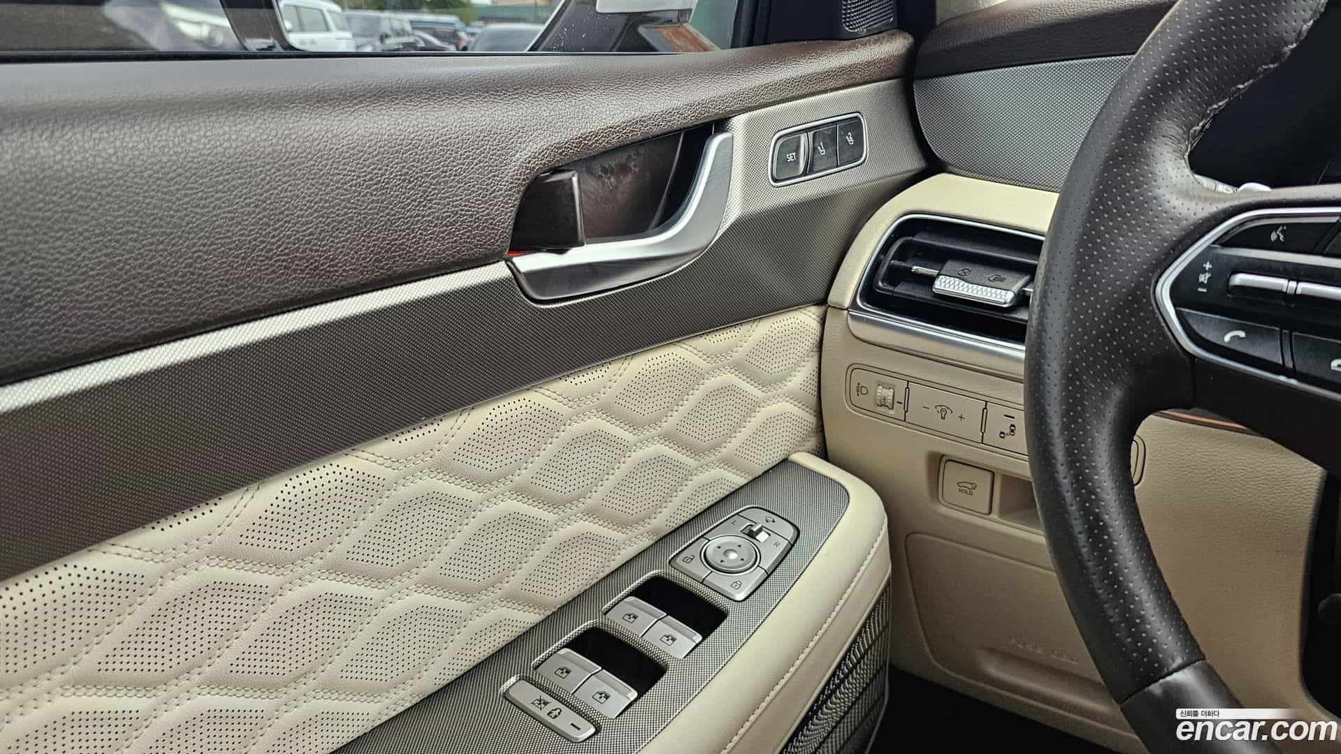 Palisade Hyundai 2020.6-OPTION-017