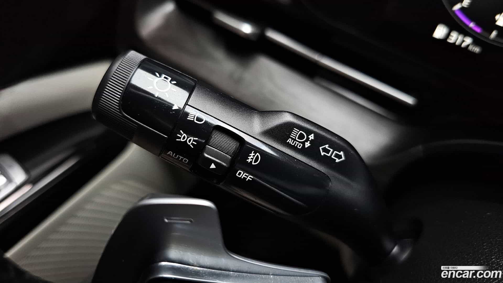 Canival Kia 2020.8-OPTION-043