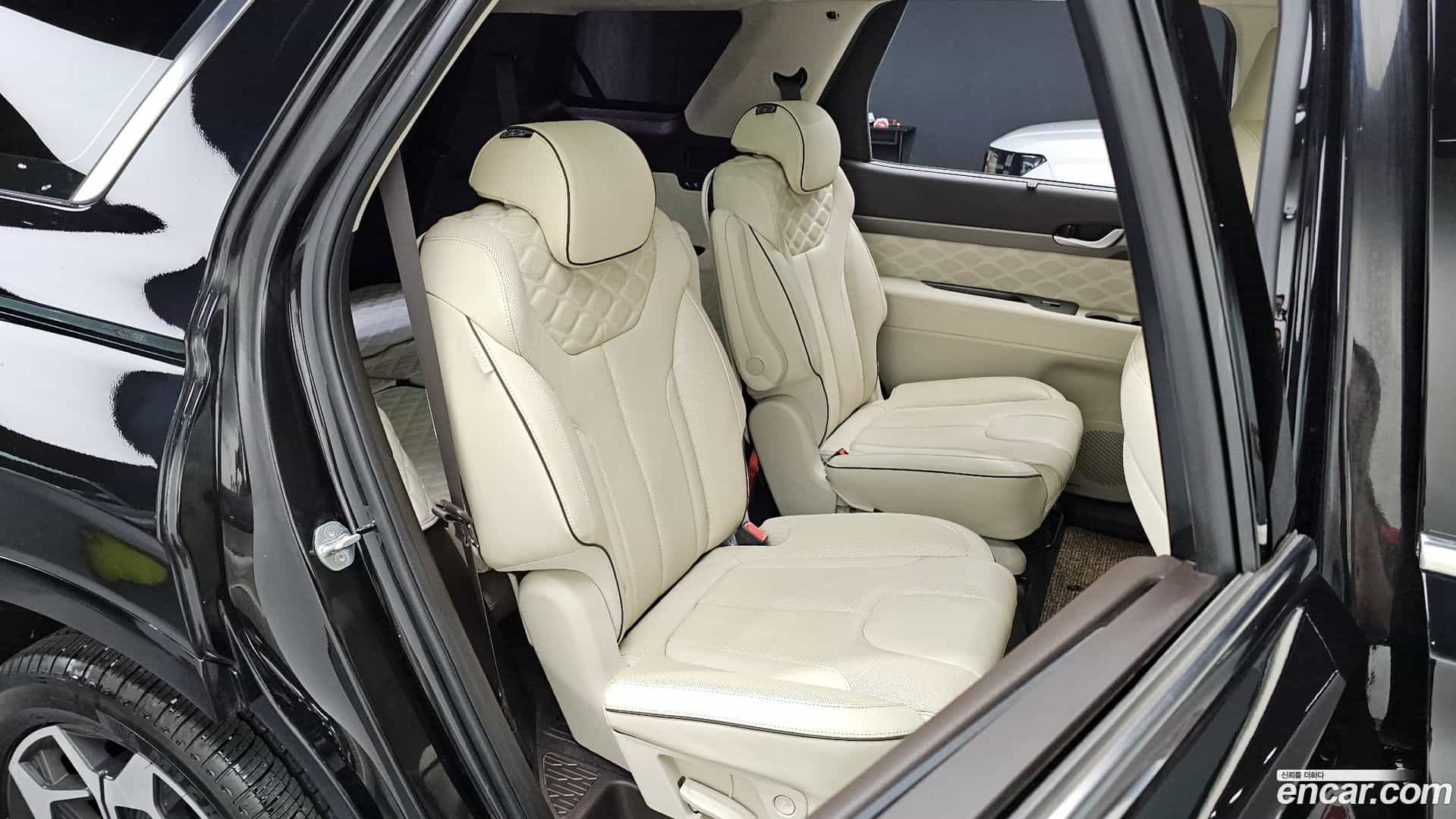 Palisade Hyundai 2021.10-OPTION-016