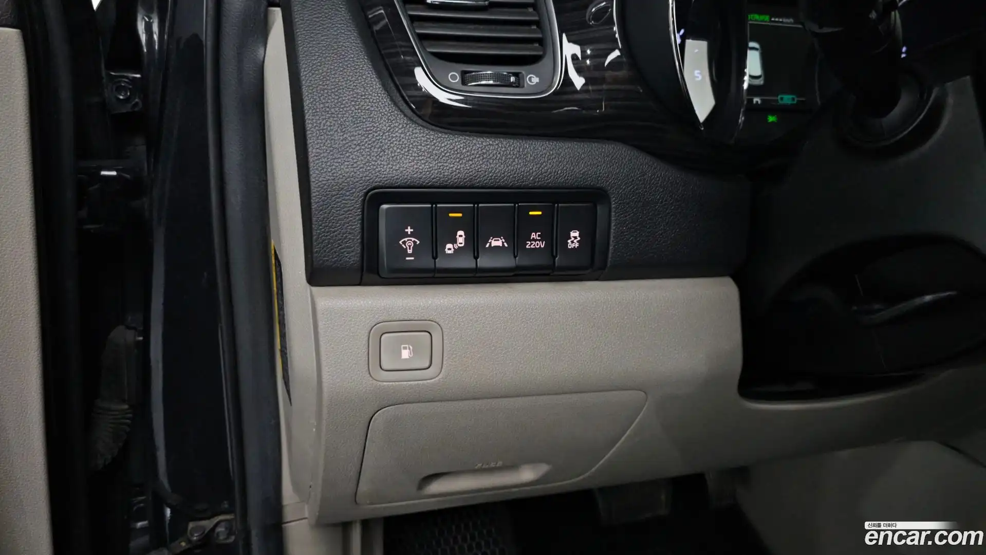 Canival Kia 2019.6-OPTION-020