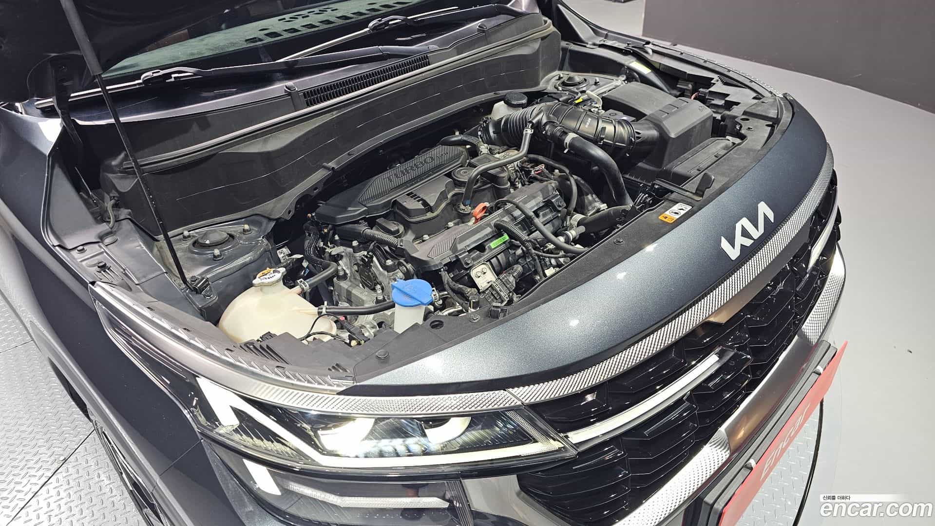 Seltos Kia 2023.6-OPTION-040
