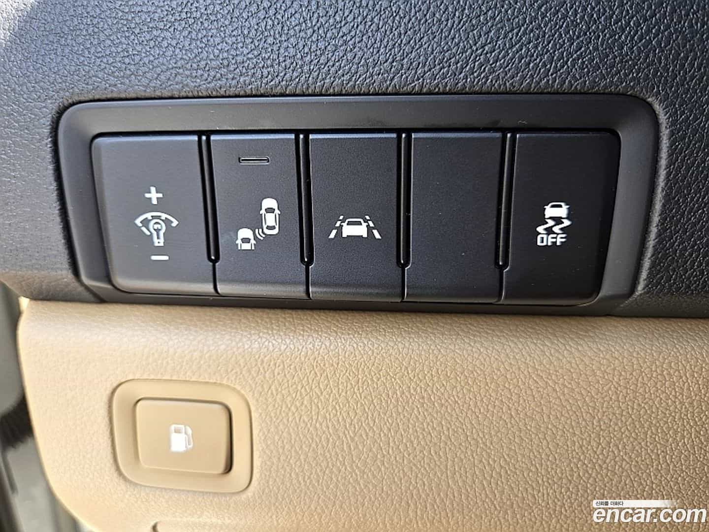Canival Kia 2019.8-INNER-010