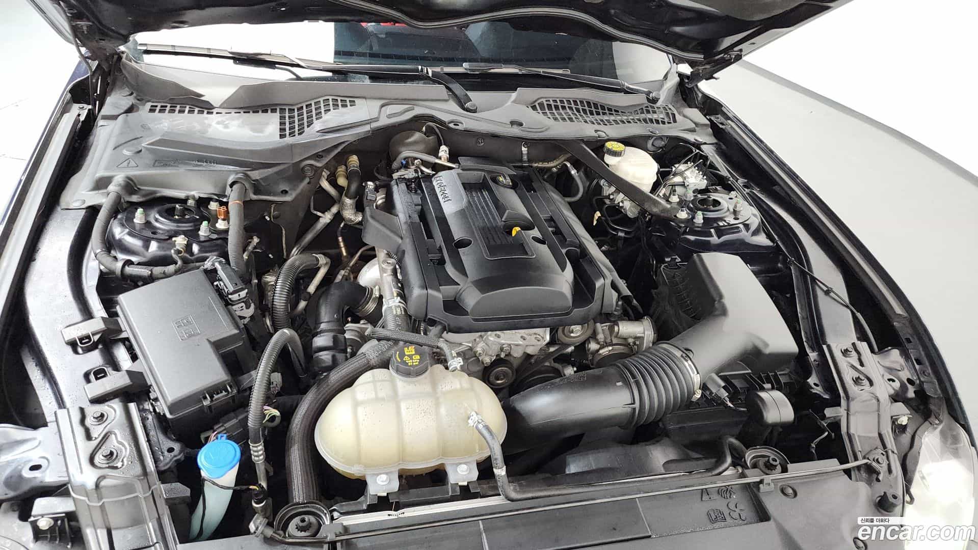 Mustang Ford 2021.3-OUTER-006