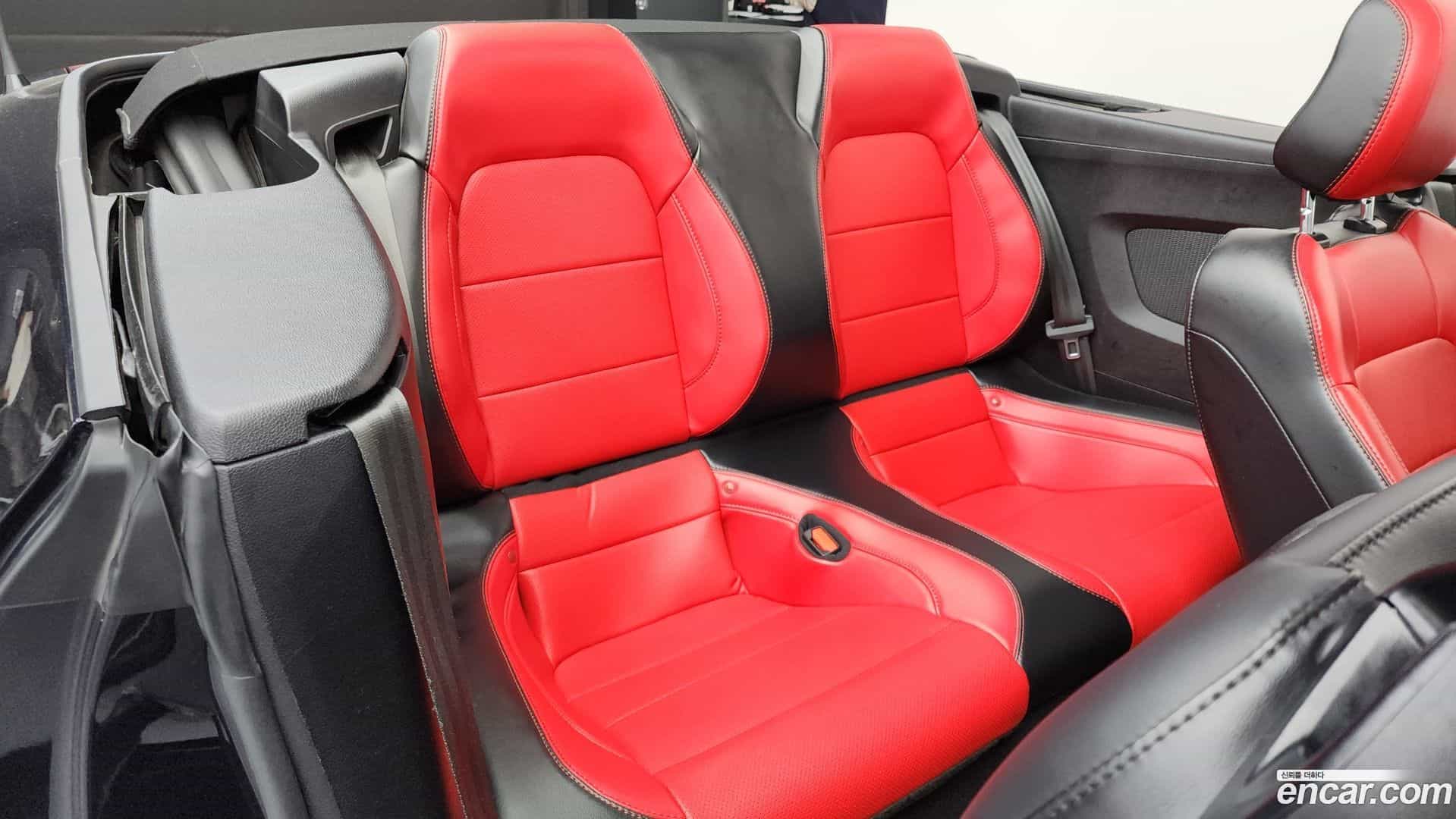 Mustang Ford 2021.3-OPTION-015