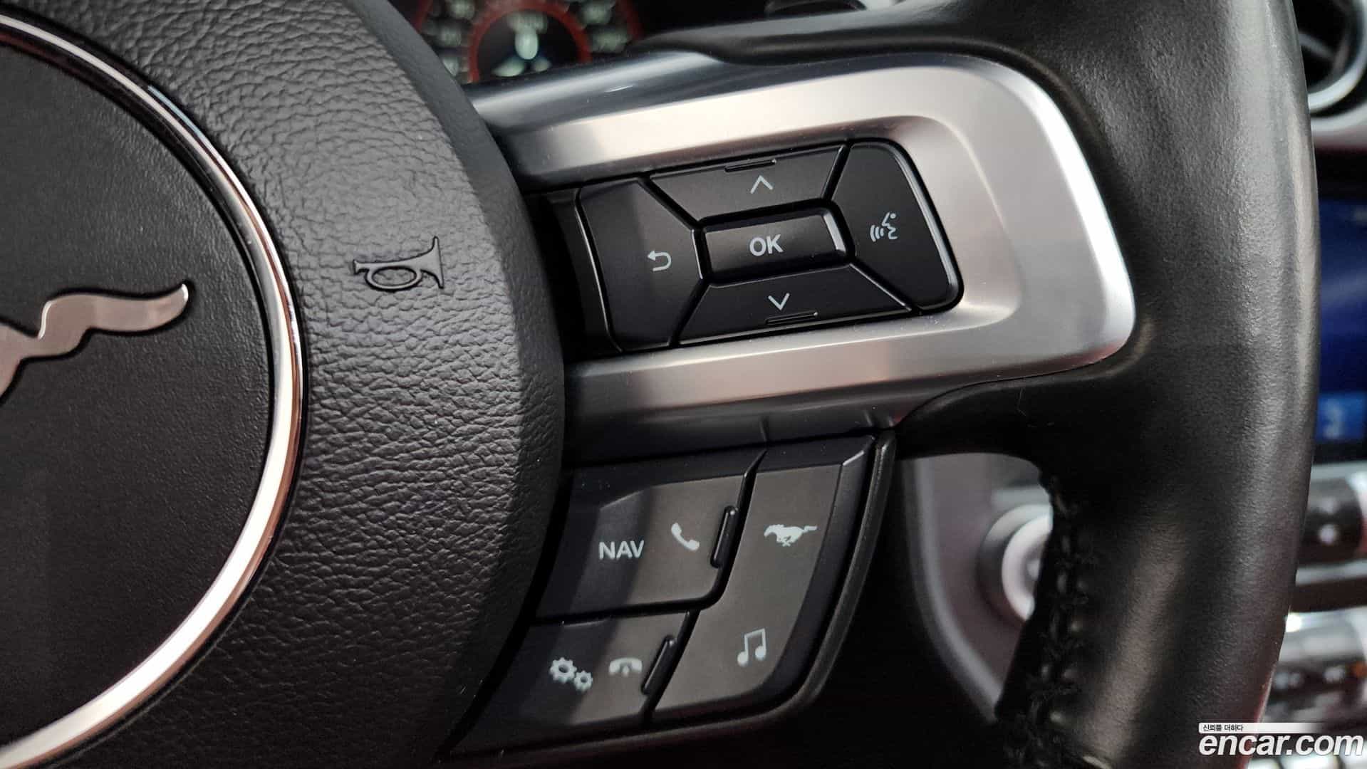 Mustang Ford 2021.3-OPTION-020